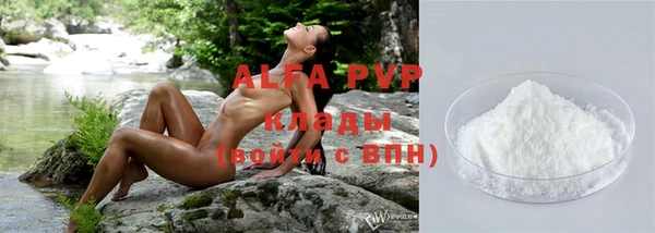 ГАЛЛЮЦИНОГЕННЫЕ ГРИБЫ Каменка