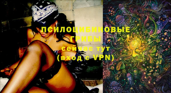spice Абаза