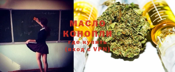 индика Абдулино