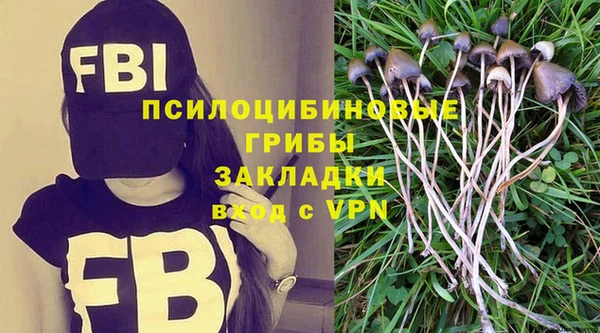 индика Абдулино